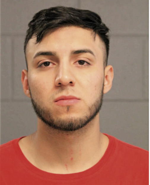 JUAN A BOTELLO, Cook County, Illinois