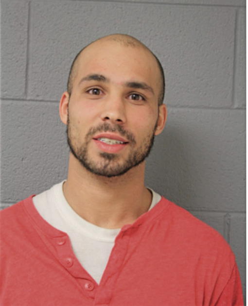 MICHAEL P BRENNAN, Cook County, Illinois