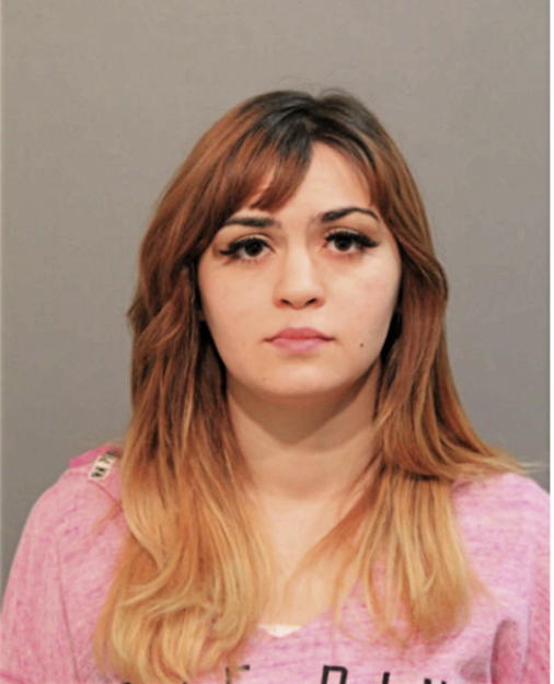 AMBER R CARROLL, Cook County, Illinois