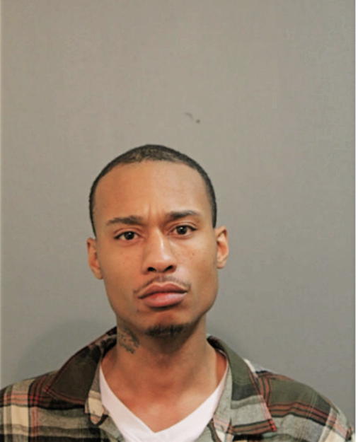 CHRISTOPHER R DAVIS, Cook County, Illinois