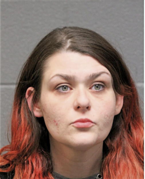 CATHERINE A DOLEHIDE, Cook County, Illinois