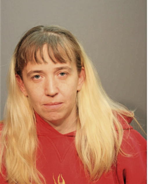 ANGELA M FALCO, Cook County, Illinois