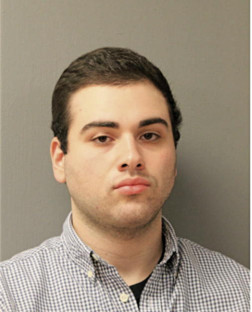 ALEX S FERRARA, Cook County, Illinois