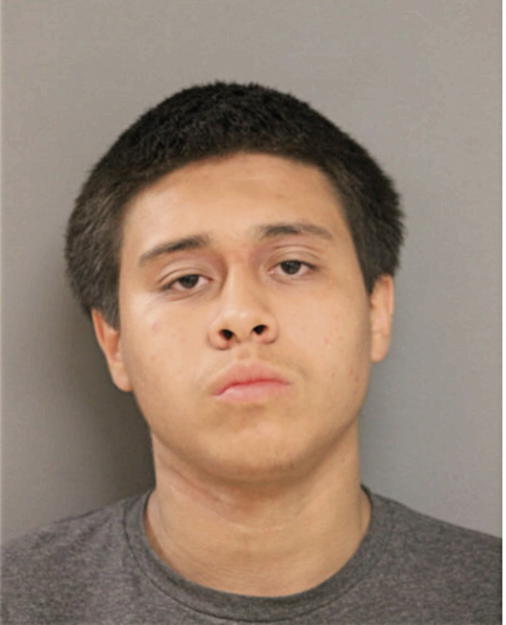 ALEXANDER N FLORES, Cook County, Illinois