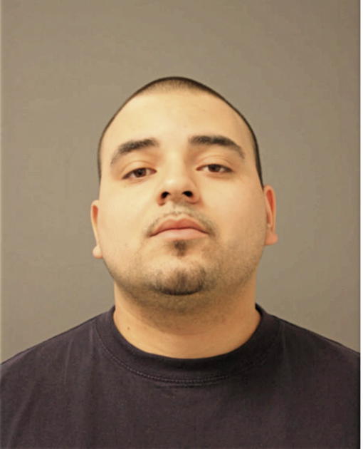 SCOTT B GRACEY, Cook County, Illinois