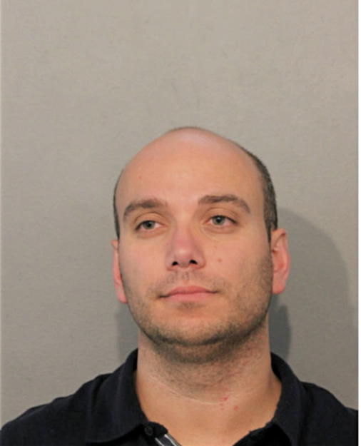 MATEI IONITA, Cook County, Illinois
