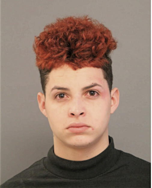 CHRISTOPHER DE JESUS, Cook County, Illinois