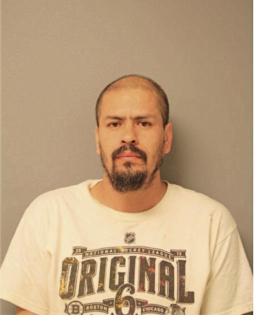 ARTURO LANDA, Cook County, Illinois