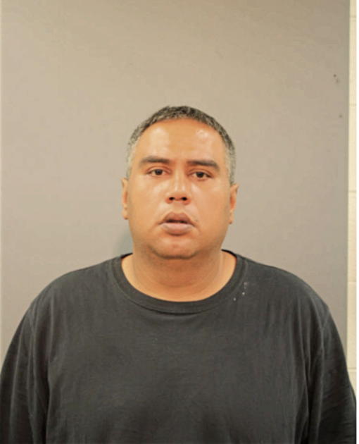 MARIO S MENDEZ, Cook County, Illinois