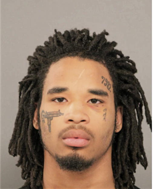 LEROY A MILES, Cook County, Illinois