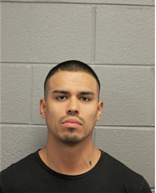 DANIEL A MORALES, Cook County, Illinois