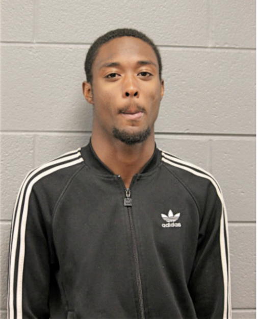 TERRELL C NEWELL, Cook County, Illinois