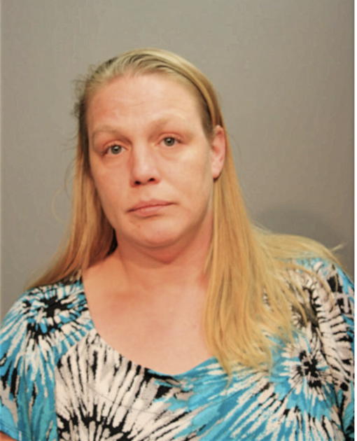 LISA A NYGREN, Cook County, Illinois