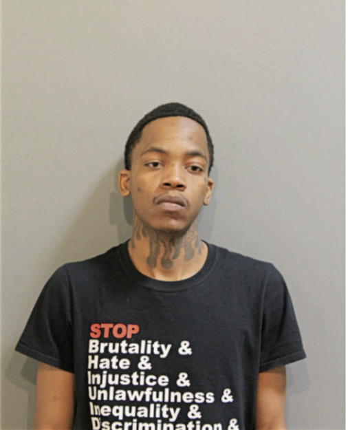 BRANDON N PAUL, Cook County, Illinois