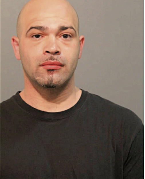 JOEL PLANAS, Cook County, Illinois