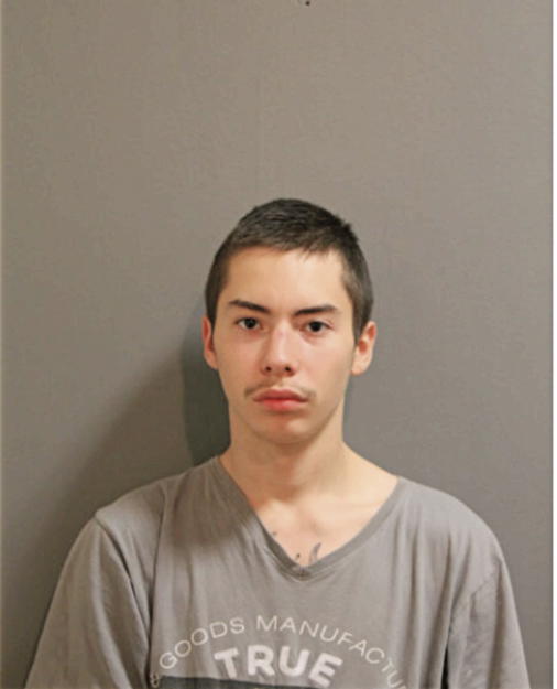 ALEXANDER L QUIJANO, Cook County, Illinois