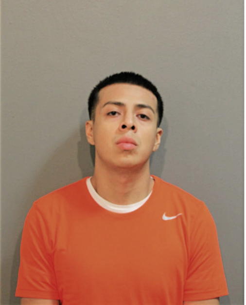 FABIAN SIERRA, Cook County, Illinois