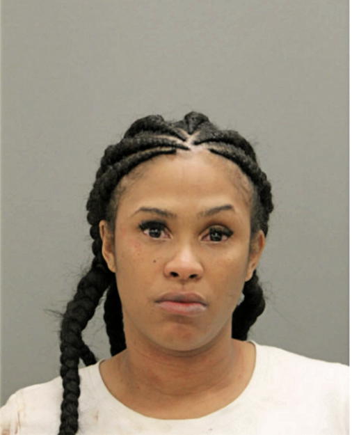 BRITTANY J STEWART, Cook County, Illinois
