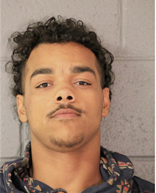 PRENTICE C WILLIAMS, Cook County, Illinois