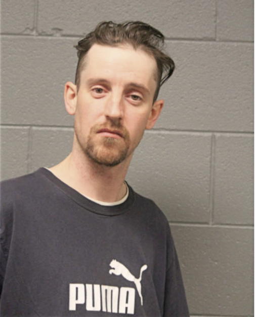 PAUL M ANDERSEN, Cook County, Illinois
