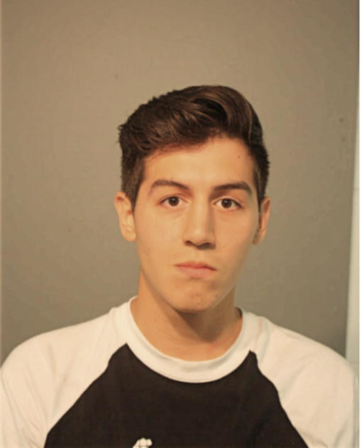 DANIEL ARELLANO, Cook County, Illinois