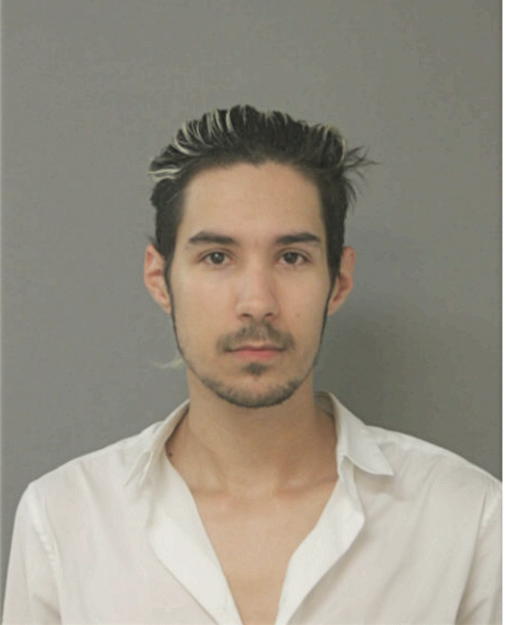 PAUL BRADLEY BADELL, Cook County, Illinois