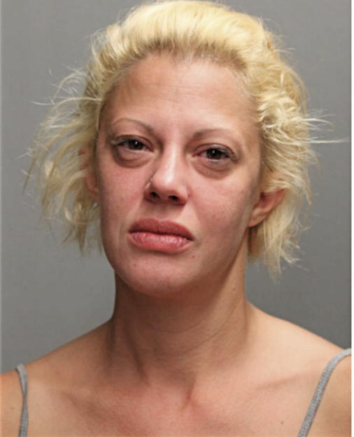 SARAH ANN BLANKENSHIP, Cook County, Illinois