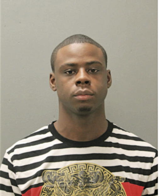 MICHAEL A DAVIS, Cook County, Illinois
