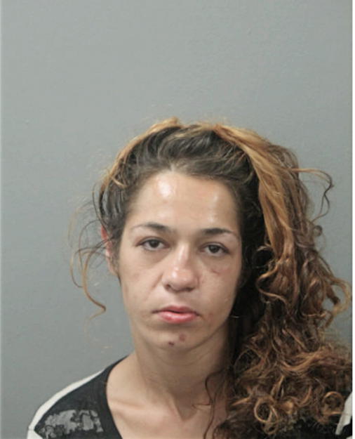 SINEM L ERGUL, Cook County, Illinois