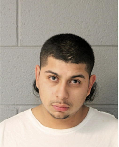 MARTIN A FABRE, Cook County, Illinois