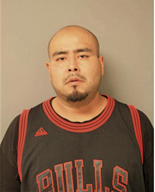 SALVADOR FLORES-VARGAS, Cook County, Illinois