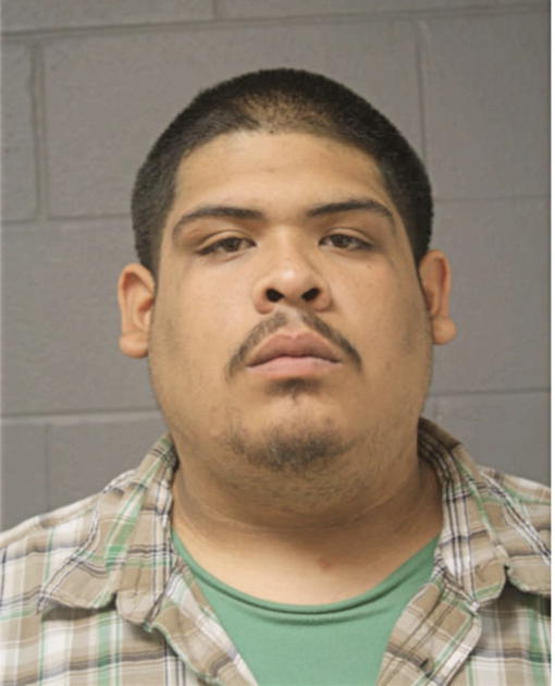JOASHUA I GUERRERO, Cook County, Illinois