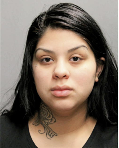 SELENA M GUERRERO, Cook County, Illinois