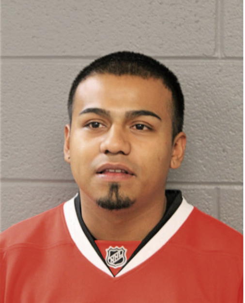 JAMIE R HERNANDEZ, Cook County, Illinois
