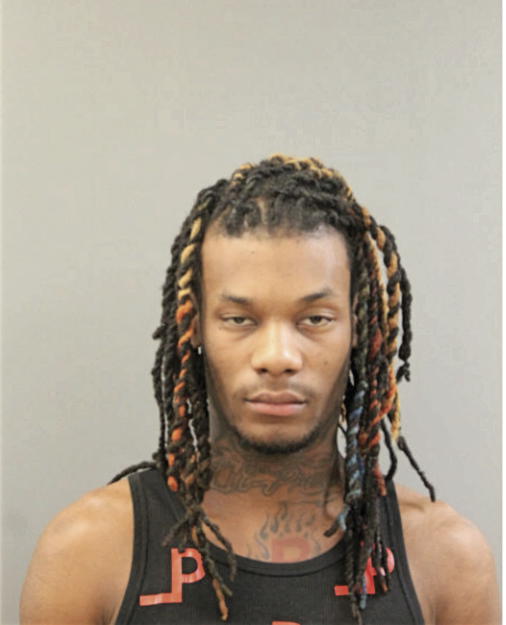 TYLER HILL, Cook County, Illinois