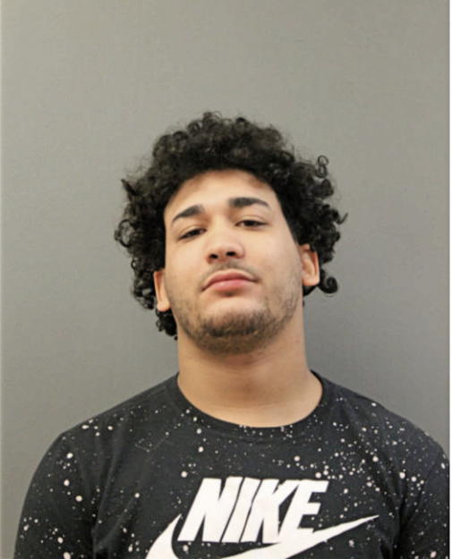 DAVID E JIMENEZ, Cook County, Illinois