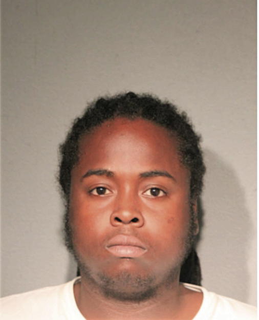 REGINALD D JOHNSON, Cook County, Illinois