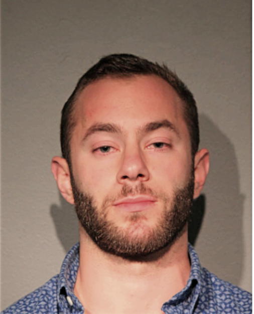 GABI L LEWIS, Cook County, Illinois