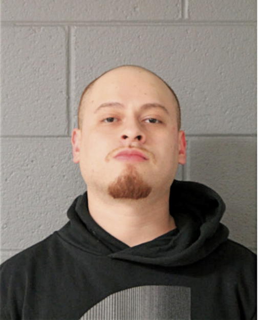 FABIAN R MAGDALENO, Cook County, Illinois