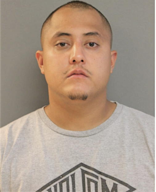 ADAM F MARTINEZ, Cook County, Illinois
