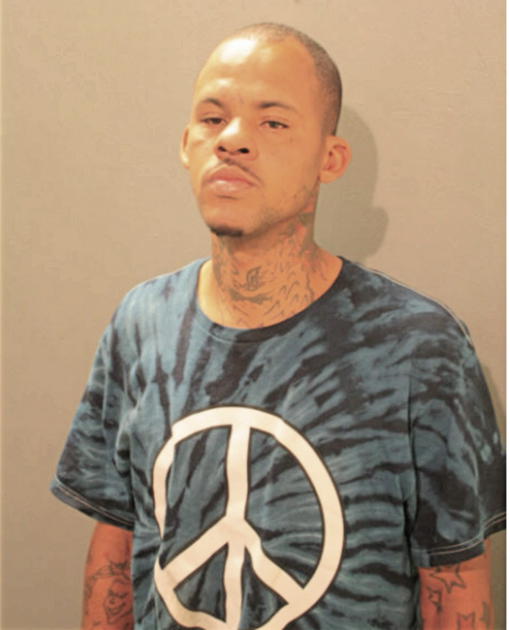 TIMOTHY S MCALLISTER, Cook County, Illinois