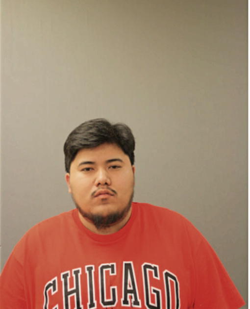 JAVIER MENDOZA, Cook County, Illinois