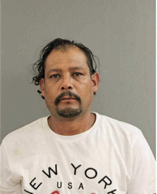 RAUDEL MERCADO, Cook County, Illinois
