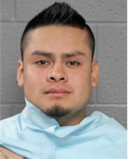 LUIS E MORALES-JIMENEZ, Cook County, Illinois