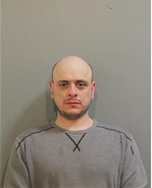 JAIME A MOTA, Cook County, Illinois