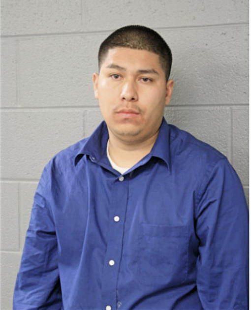 ALVARO MOYA-PENA, Cook County, Illinois
