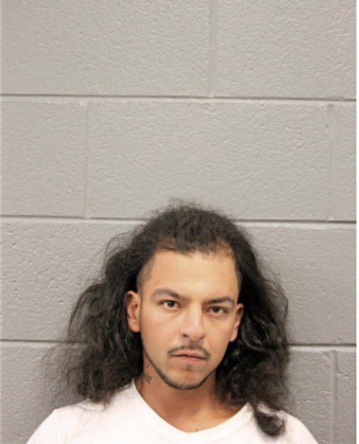 MICHAEL A PADILLA, Cook County, Illinois