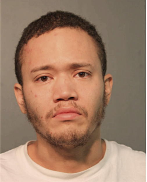 SALVADOR S REITINGER, Cook County, Illinois