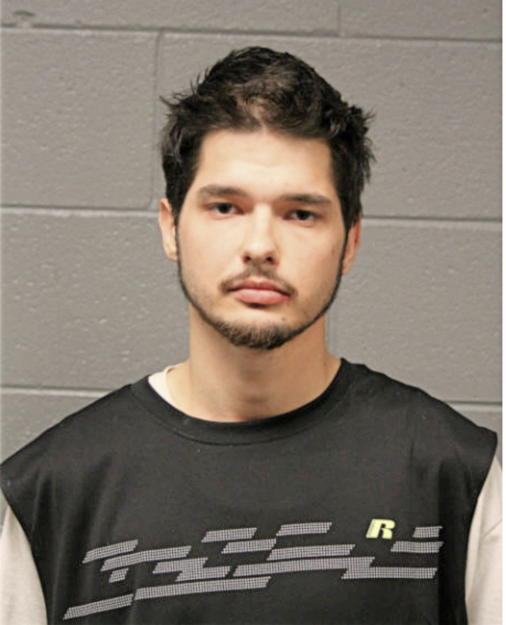 STANLEY J SALATA, Cook County, Illinois