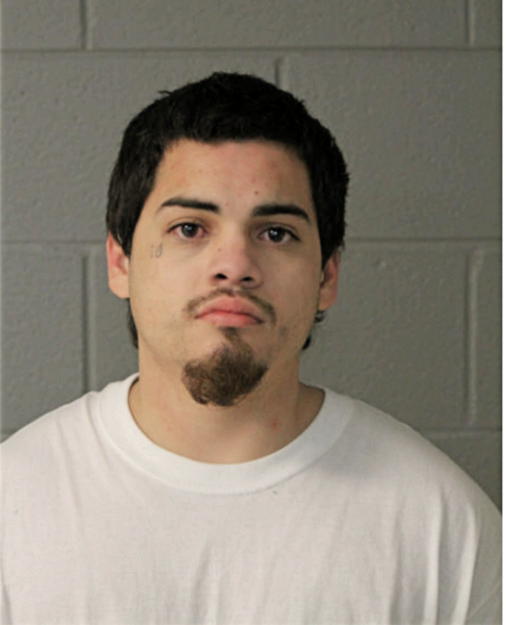 MARCO A SANCHEZ JR, Cook County, Illinois